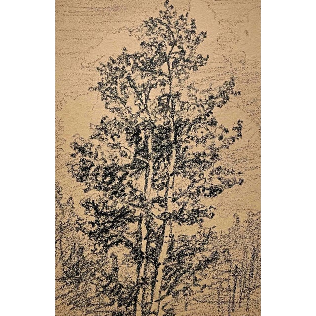 1920s Circa 1920s Graphite on Paper Wooded Landscape by Artist Harold Haydon For Sale - Image 5 of 5