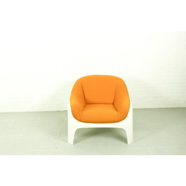Space Age Fiberglass Lounge Chair by Sergio Mazza for Artemide, 1960s For Sale - Image 9 of 18