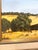 Realism Mid 20th Century Richard Danskin Original Oil Painting Horse Farm Barn Rustic Landscape Carmel California For Sale - Image 3 of 12