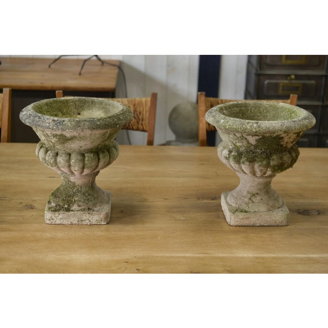 Stone Medici Vases in Reconstituted Stone, 1950s, Set of 2 For Sale - Image 7 of 12