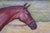 Late 20th Century Chestnut Horse Equestrian Jockey Oil Painting After Allen Culpepper Sealy 44" For Sale - Image 12 of 13