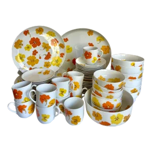 1960's Suisse Switzerland "Lugano" Porcelain Floral Dinnerware Set