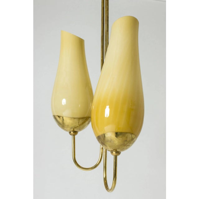 Gold Brass and Glass Chandelier by Gunnel Nyman & Paavo Tynell For Sale - Image 8 of 10
