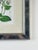 Purple Vintage Trowbridge Custom Framed Botanical Print “Cosmanthus Grandiflorus” After Louis Van Houtte (1810–1876) For Sale - Image 8 of 10
