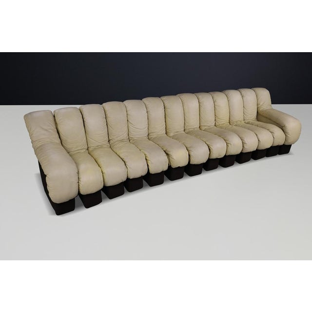 Wood DS-600 Snake Sectional Sofa in Cream Leather attributed to Ueli Berger for de Sede, 1970s, Set of 13 For Sale - Image 7 of 16