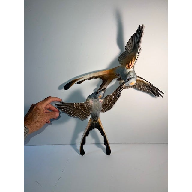 Mid 20th Century Dorothy Doughty Scissor Tailed Flycatchers - a Pair For Sale - Image 13 of 16