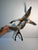 Mid 20th Century Dorothy Doughty Scissor Tailed Flycatchers - a Pair For Sale - Image 13 of 16