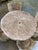 Sculpture Materials Mid 20th Century Faux Bois Garden Table and Chairs Set, 5 Pieces For Sale - Image 7 of 12