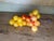 Large Vintage Italian Alabaster Grape Cluster Sculpture For Sale In Los Angeles - Image 6 of 10