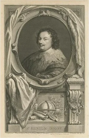 Jacobus Houbraken, Portrait of Sir Kenelm Digby, English Courtier and Diplomat, Print