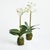 Our Phalaenopsis Orchid DropIn offers an exquisitely realistic interpretation of this regal flower, capturing every detail...
