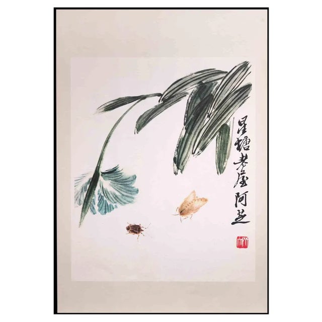 Unknown, Flowers and Bugs, Phototype Print, Mid-20th Century For Sale