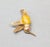 Mid-Century Modern Vintage 1960s Signed Napier Goldtone Yellow Cabochon Hummingbird For Sale - Image 3 of 7