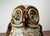 Large Mid-Century Modern Danish Studio Pottery Owl Sculpture by Josef Simon for Søholm, 1960s For Sale - Image 4 of 18