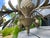 Hollywood Regency Vintage 1980s Quoizel Pineapple Tole Chandelier, Featuring a Large Central Ceramic Pineapple For Sale - Image 3 of 12