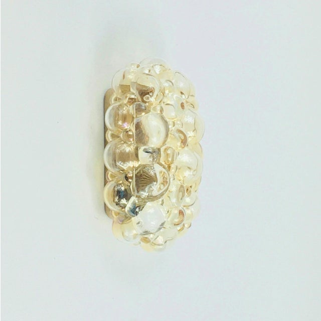 Mid-Century Amber Bubble Glass Wall Light attributed to Helena Tynell for Limburg, Germany, 1960s For Sale - Image 9 of 9