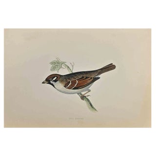 Alexander Francis Lydon, Tree Sparrow, Woodcut Print, 1870 For Sale