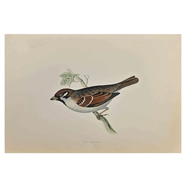 Alexander Francis Lydon, Tree Sparrow, Woodcut Print, 1870 For Sale