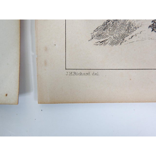 Mid 19th Century Us Pacifc Railroad Rats Lithograph Book Plate - A Pair For Sale - Image 4 of 6