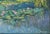 Original oil landscape, lily pond