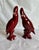 Urbano Zaccagnini 1950s Pair of Italian Ceramic Cockatoo Figurines by Urbano Zaccagnini For Sale - Image 4 of 12