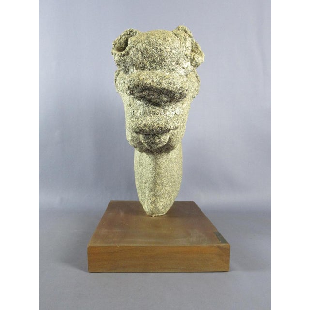 Emilia Parea, Horse Head Sculpture, 1960s, Granite and Papier-Mâché on Wood Base For Sale - Image 13 of 18