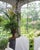 Traditional "Gardens of Style, Private Hideaways of the Design World"-Rizzoli-2018 For Sale - Image 3 of 5