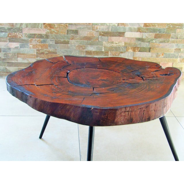 1950s Tree Trunk Coffee Table, 1950s For Sale - Image 5 of 13