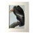 Vintage John James Audubon Matted Print, 1966: California Condor For Sale