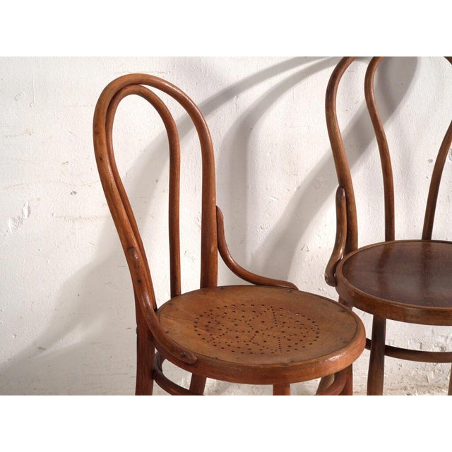 Chairs in Bentwood from Thonet, Central Europe, 1930, Set of 2 For Sale - Image 3 of 13