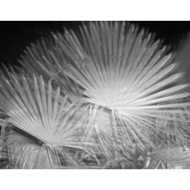 This large 40" x 30" abstract photographic print is by designer/artist/photographer Joseph Fountain, created in 2015. From...