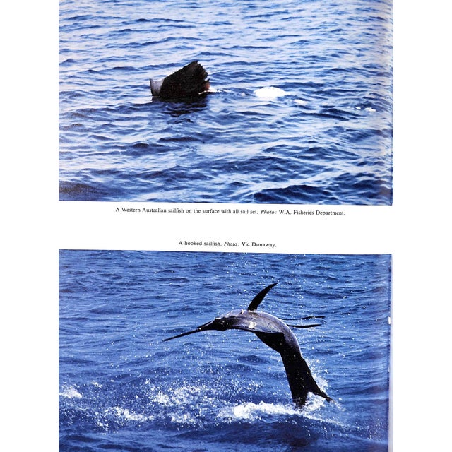 "Big Fish and Blue Water: Gamefishing in the Pacific" 1970 Goadby, Peter For Sale - Image 9 of 9
