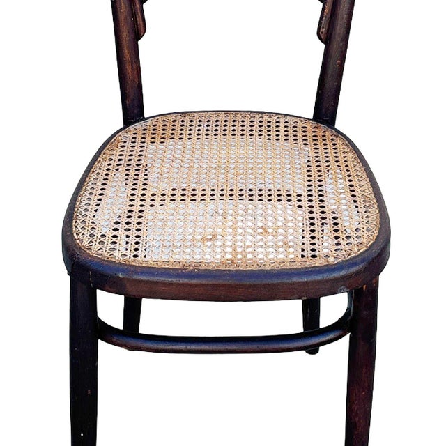 Brown 1920 Art Deco Bent Oak & Cane Chair No. 144 Attributed to Thonet For Sale - Image 8 of 9
