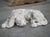 More information coming soon… A must-have for any animal or dog lover, this sculpture of a sleeping hound was hand-carved...