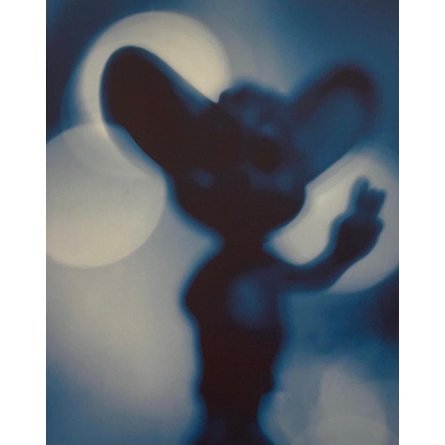 From his series SHADOW CARTOONS. Color iris print, hand initialed in pencil, This is not numbered. It is on Somerset...