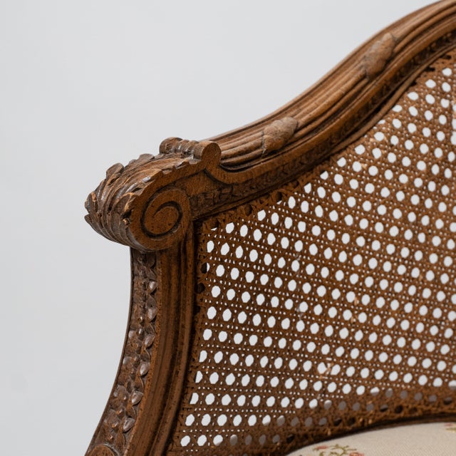 1920s Louis XVI Style Neoclassical Cane Barrel Bergère Chair in Carved Beechwood For Sale In New York - Image 6 of 13
