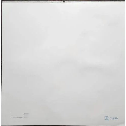 Andy warhol flowers lithograph signed in print, numbered limited edition, authenticated by the editor. we are offering a...