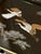 Set of 3 Mid 20th Century Japanese Maki Style Black Lacquer Effect Resin Two Trays Gold Painted Cranes For Sale - Image 9 of 13