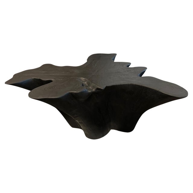 Andrianna Shamaris Sculptural Charred Teak Wood Coffee Table For Sale - Image 15 of 18
