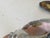 Mid-Century Modern Silver-Plated Shells by Federico Buccellati, Italy, 1940s, Set of 4 For Sale - Image 3 of 13