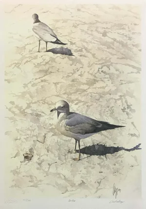 "Gulls" Contemporary Wildlife Hand Signed and Numbered Lithograph by Carl Arlen