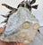Vintage Modern Enamel on Copper Mounted on Quartz Base Tropical Lion Fish Sculpture For Sale - Image 10 of 11
