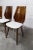 Set of 6 Baumann chairs model 840 G2S varnished mahogany finish, 1963. Chairs in superb condition, seats cleaned and...