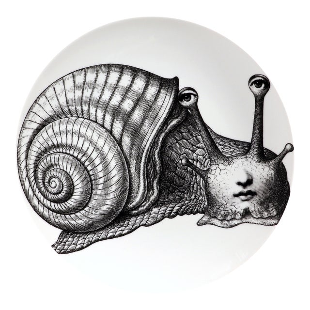 Fornasetti Tema E Variazioni Porcelain Wall Plate No. 260, the Snail For Sale