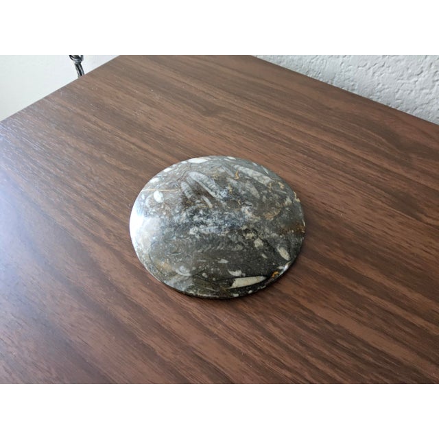 Early 20th Century Vintage Fossil/Stone Dish For Sale - Image 5 of 5