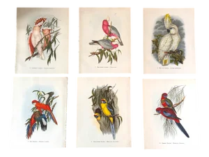 John Gould, Tropical Bird Plates, 1948, Prints, Set of 6