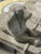 A charming and unusual cast stone garden Bench with Dog. Beautifully crafted with exceptional detail, from the serene...