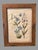 Antique Custom Rustic Country Framed Latin Botanical Flower Print For Sale - Image 6 of 9
