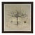 Natural Curiosities “Balefsan” Bruce’s Travels Botanical Tree Print, Framed For Sale