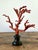 Hollywood Regency Vintage Faux Coral Branch For Sale - Image 3 of 12